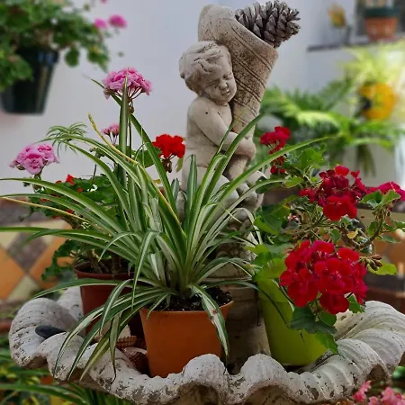 El Barrio Apartamento *